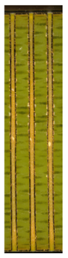 Probe Card AR Info
